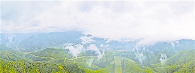     清晨，薄霧籠罩六盤(pán)山。